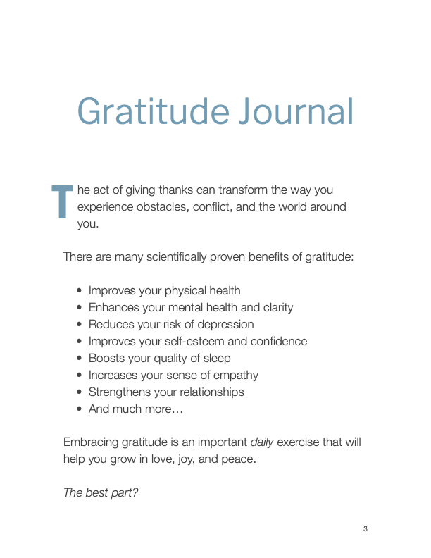 Gratitude Journal Vol.2
