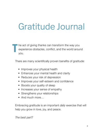 Gratitude Journal Vol.2